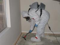 Pro Asbestos Removal Sydney image 27